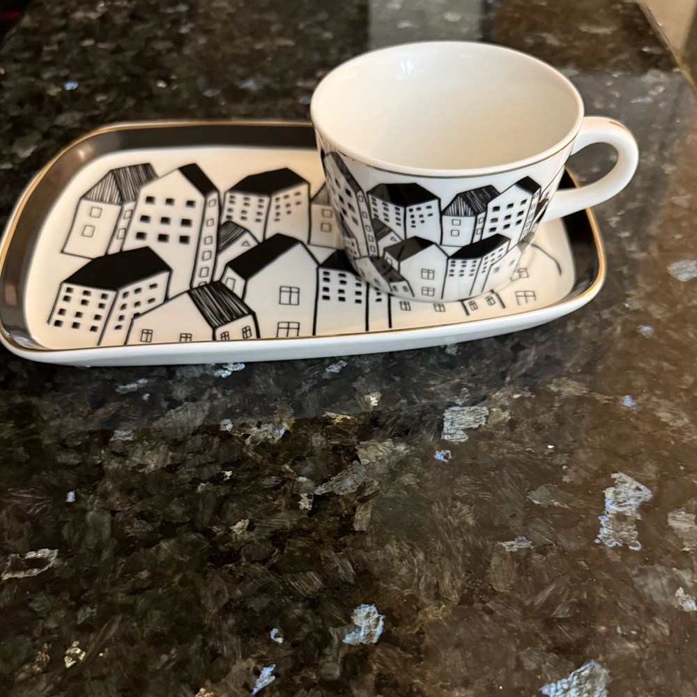 Black and White House Design Cup and Saucer Set